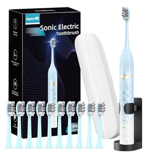 Sonic Electric Toothbrush Set with 10 Brush Heads & Travel Case
