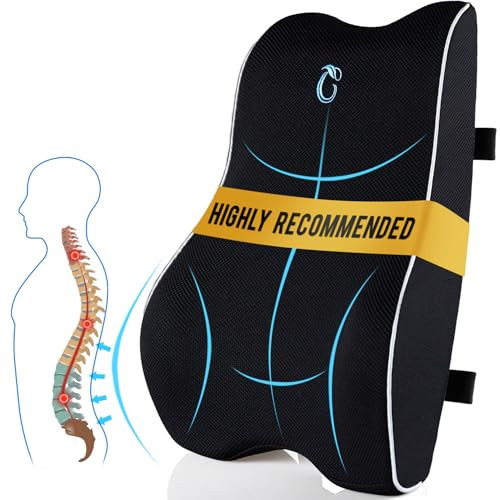 Lumbar Support Pillow for Office Chair