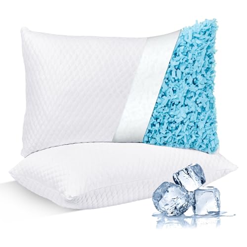 Memory Foam Pillow Deal