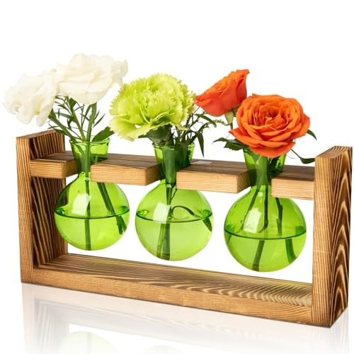 XXXFLOWER 3 Bulb Vase Plant Terrarium w/ Wooden Stand Deal