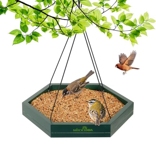 MIXXIDEA Platform Bird Feeder Tray 1-Pack Green Deal