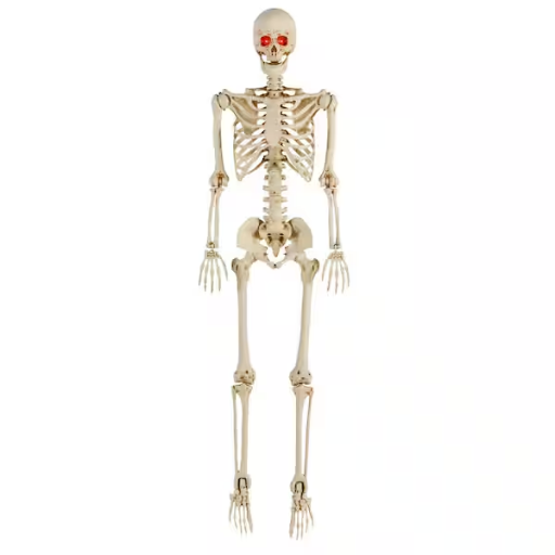 Home Accents Holiday 5 ft. LED Pose-N-Stay Skeleton