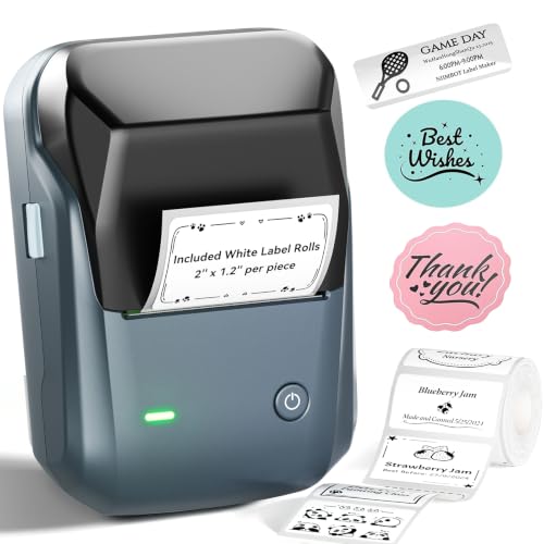 NIIMBOT B1 Label Maker Deal