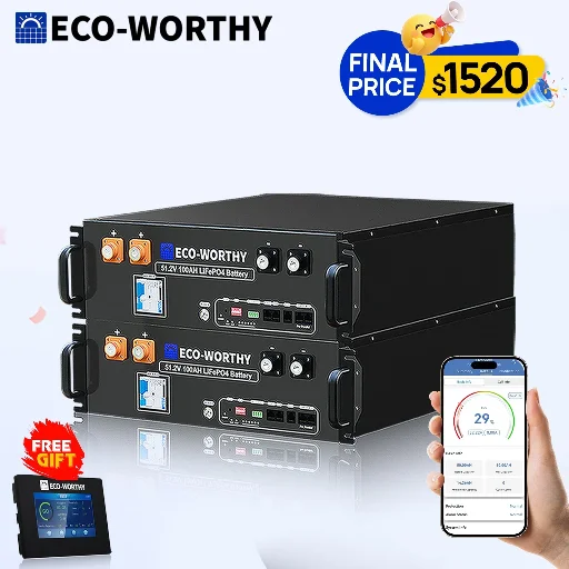 ECO-WORTHY 2-Pack 48V 100Ah LiFePO4 Batteries + 48V Battery Monitor