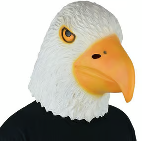 Encore Philadelphia Eagles Football White Eagle Mask