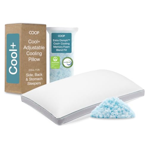 Coop Home Goods Cool+ Adjustable Pillow Queen Size Deal