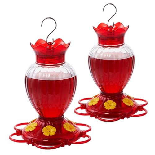 Backyard Expressions 2-Pack 20oz Hummingbird Feeders
