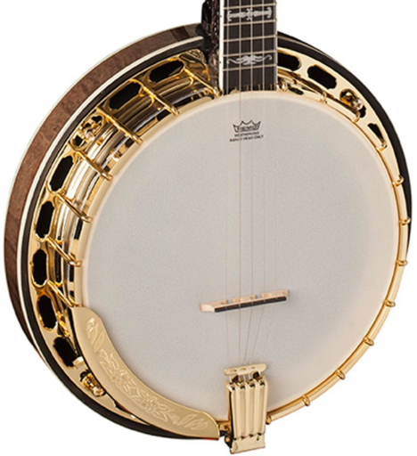 Washburn Americana Series B17K-D 5-String Banjo Sunburst Open Box Deal