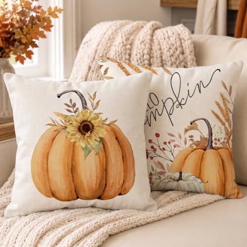 Throw Pillow Covers 18x18" Set of 2 Deal