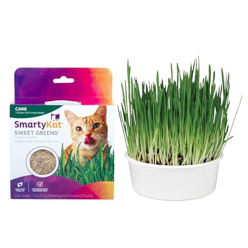 SmartyKat Cat Grass