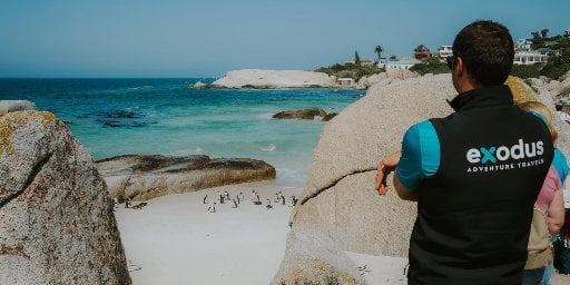 South Africa Guided Adventure: Cape Town & The Garden Route Deal