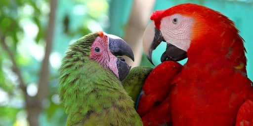 Luxury 7-Day Caribbean Cruise Package This Winter Deal