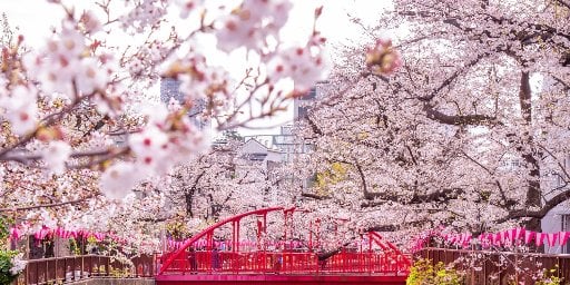 10-Night Japan Cruise Package