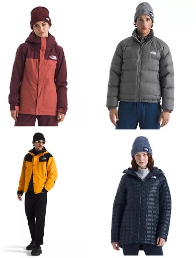 The North Face Winter Jacket Sale