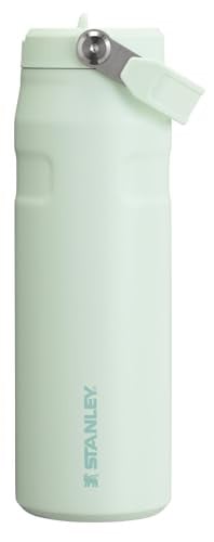 24-Oz Stanley IceFlow Flip Straw 2.0 Water Bottle (Mist)