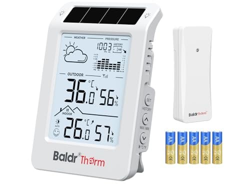 BaldrTherm Thermometer Wireless Weather Station Deal