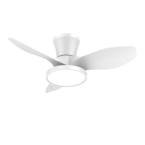 Ocioc 32" Ceiling Fan with LED Light Deal