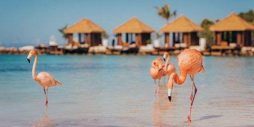 Renaissance Wind Creek Aruba All-Inclusive 4-Night Stay with Airfare Deal