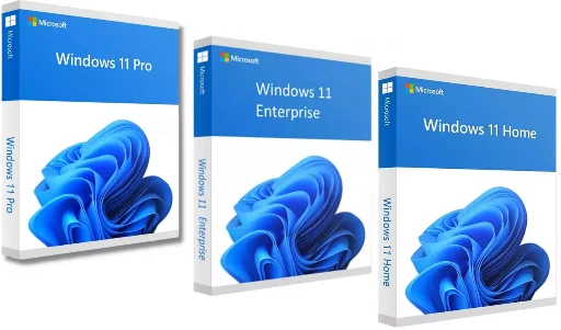 Windows 11 Pro, Home, Enterprise
