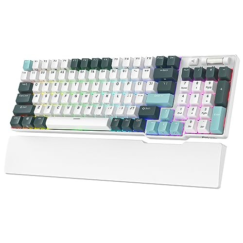 RK ROYAL KLUDGE RK96 RGB Hot-Swap Mechanical Keyboard (Yellow Switch)