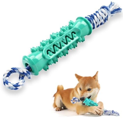 Dog Chew Toys Toothbrush Toy with Rope Deal