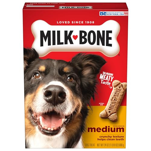 Milk-Bone Original Dog Treats Biscuits for Medium Dogs, 24 Ounces