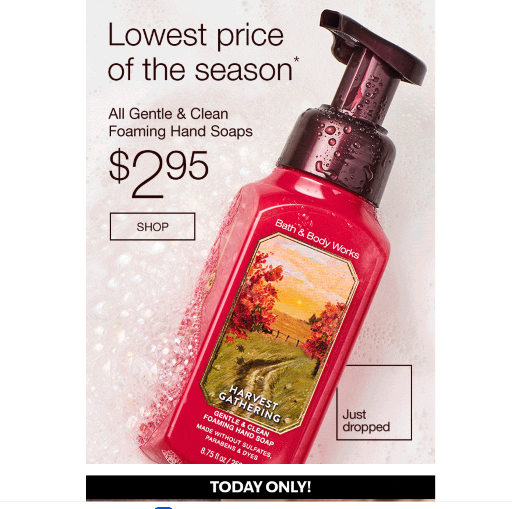 Bath & Body Works Foaming Hand Soap SALE Deal