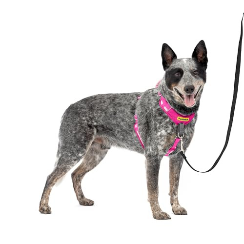 PetSafe Easy Walk Comfort No-Pull Dog Harness Medium/Large Pink