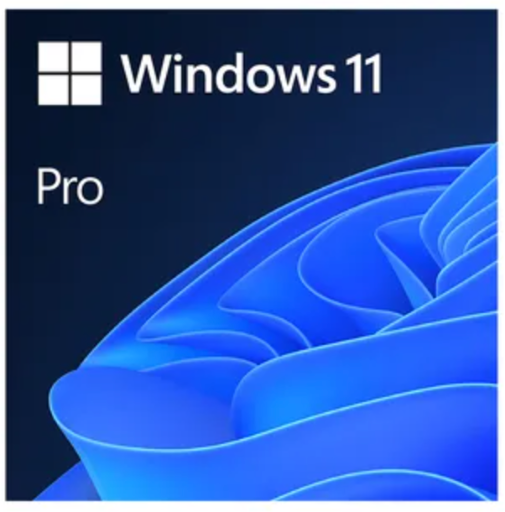 Microsoft Windows 11 Pro Lifetime License Digital Delivery Deal