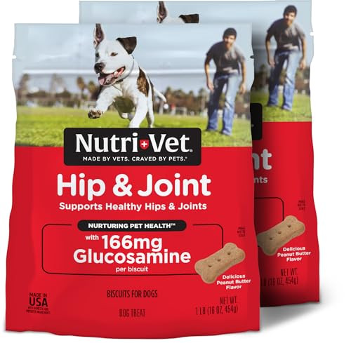 2 Pack of Nutri-Vet Hip & Joint Biscuits for Dogs 166mg Glucosamine, 16 Oz., Peanut Butter Flavor
