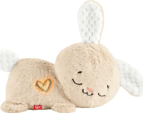 Fisher-Price Soothe & Settle Bunny Baby Toy