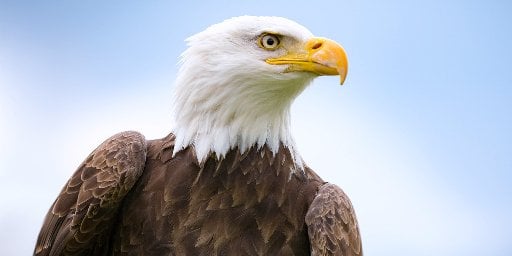 7-Night Alaska Cruise Package including College Fjord, Vancouver to Whittier  Deal