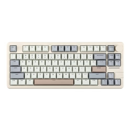 Galaxy70 Wireless Hot-Swappable Keyboard (White, Zebra Switch)
