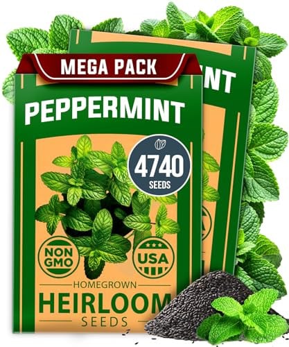 HOME GROWN Peppermint Mentha piperita Deal