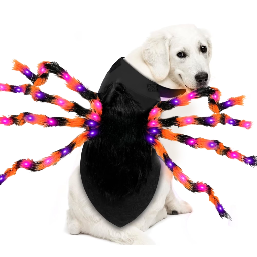 KyFree 48 LED Spider Dog Halloween Costume Medium