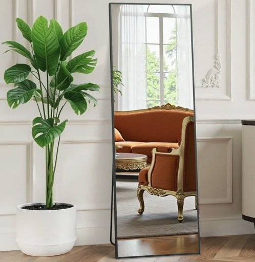 EDX Full Length Mirror, 59" x 16"