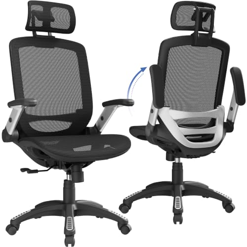 GABRYLLY Ergonomic Office Chair High Back with Headrest Deal