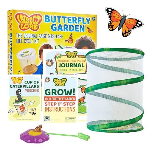Insect Lore Raise and Release Butterfly Garden Kit Deal