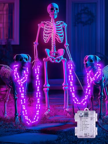 10ft Purple Battery Halloween Chain Lights