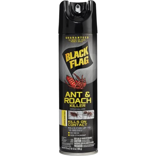 Black Flag Ant and Roach Killer Deal