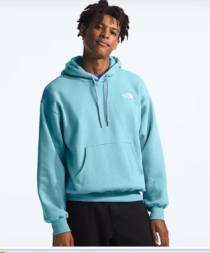 The North Face Men's Evolution Vintage Hoodie