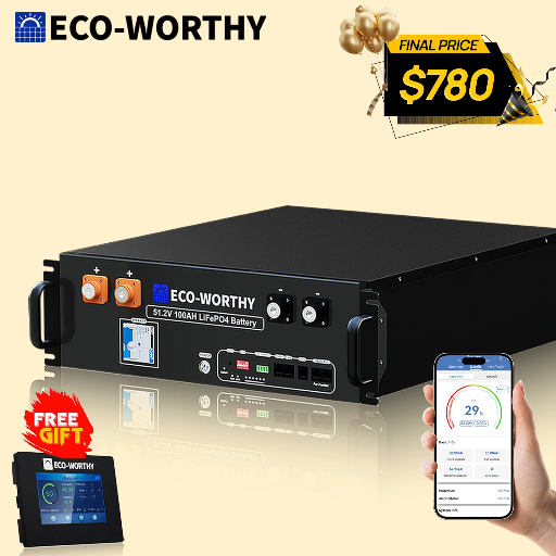 ECO-WORTHY 51.2V 100Ah 5.12KWh Lithium LiFePO4 Server Rack Battery + Battery Monitor