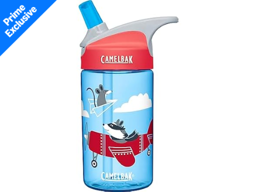 12-Oz CamelBak Eddy Kids Big Bite Valve Straw Water Bottle (Airplane Bandits)