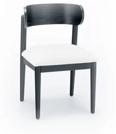 2-Pack Drew Barrymore Beautiful Drew Dining Room Chair