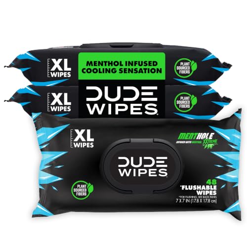 DUDE Wipes MentHOLE XXtreme Menthol Flushable Adult Wet Wipes 144-Count