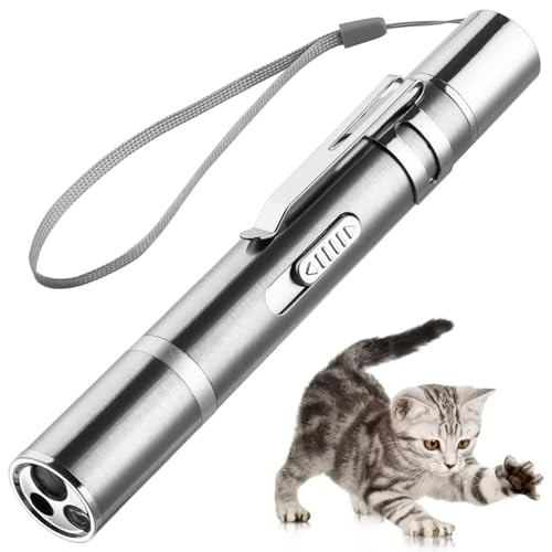 USB Rechargeable Laser Pointer Cat Toy