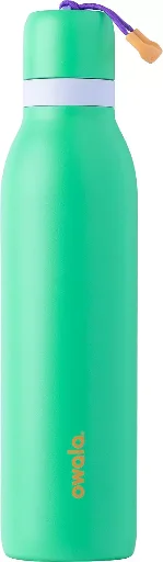 24-Oz Owala FreeSip Stainless Steel Water Bottle with Twist Lid