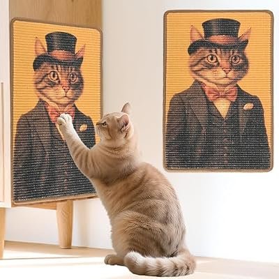 Cat Scratching Mat Deal