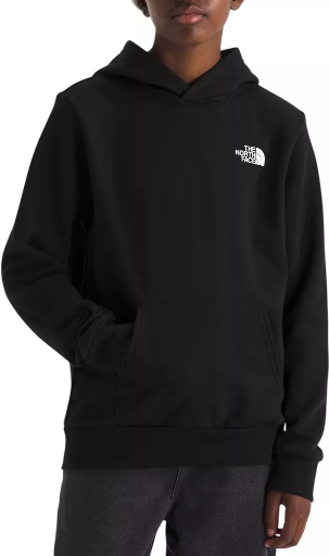 The North Face Kids' Evolution Box NSE Pullover Graphic Hoodie (TNF Black) Deal