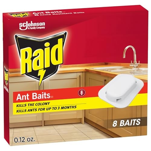 Raid Ant & Roach Killer 20 oz Deal
